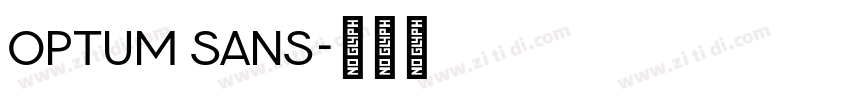 Optum sans字体转换